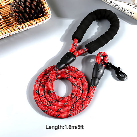 Dog Leash 5ft