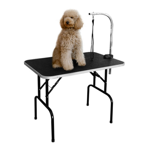 Pet grooming table GT 202 A