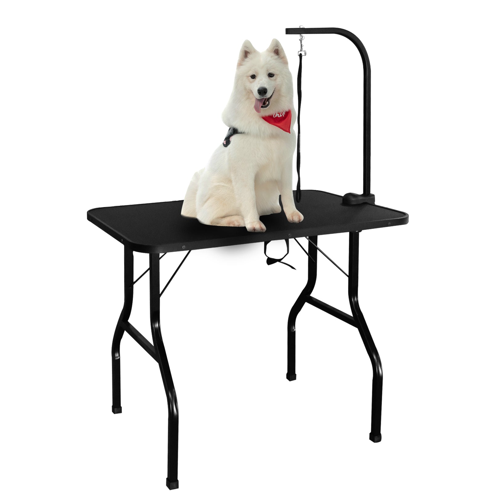 Pet Grooming Table GT 208