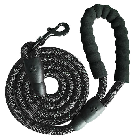 Dog Leash 5ft