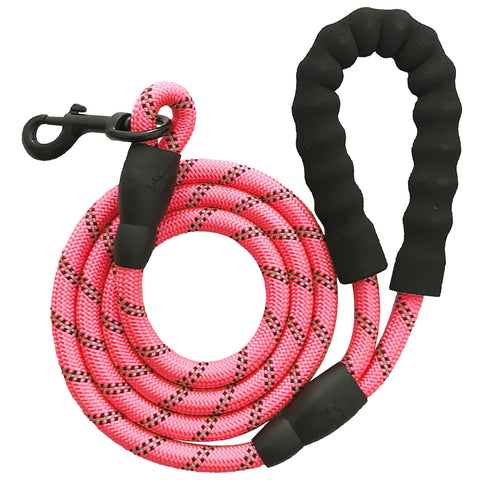 Dog Leash 5ft