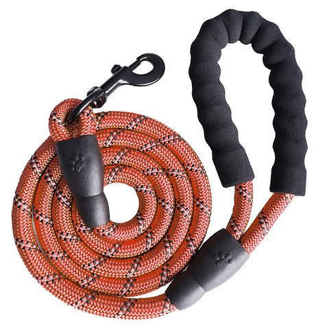 Dog Leash 5ft