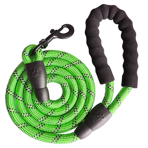 Dog Leash 5ft