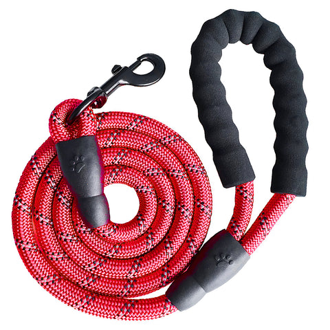 Dog Leash 5ft